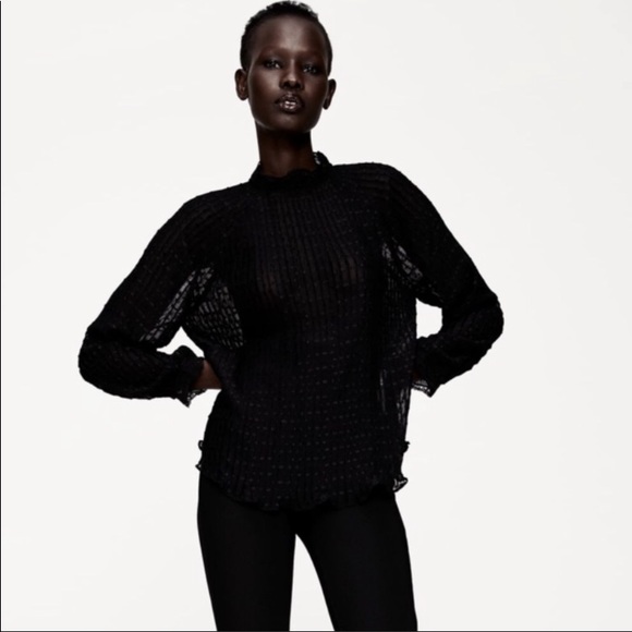 Zara Tops - Swiss dot sheer blouse